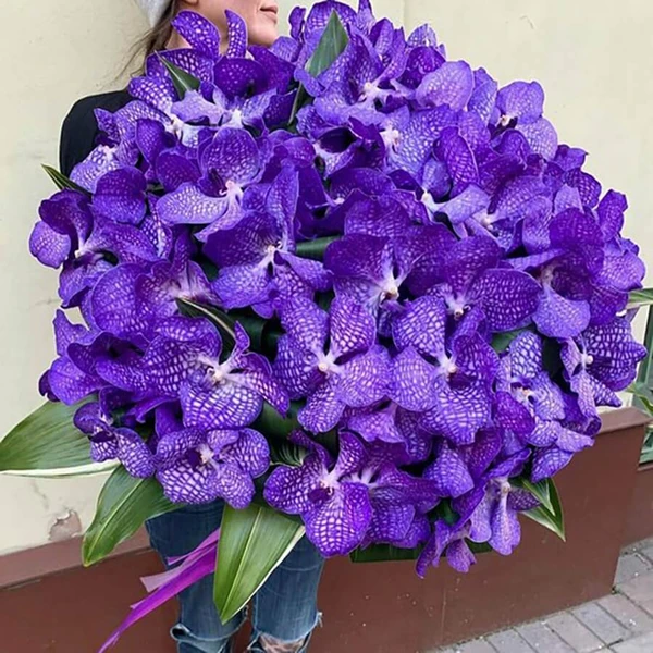 Букет из 81 орхидеи и рускуса